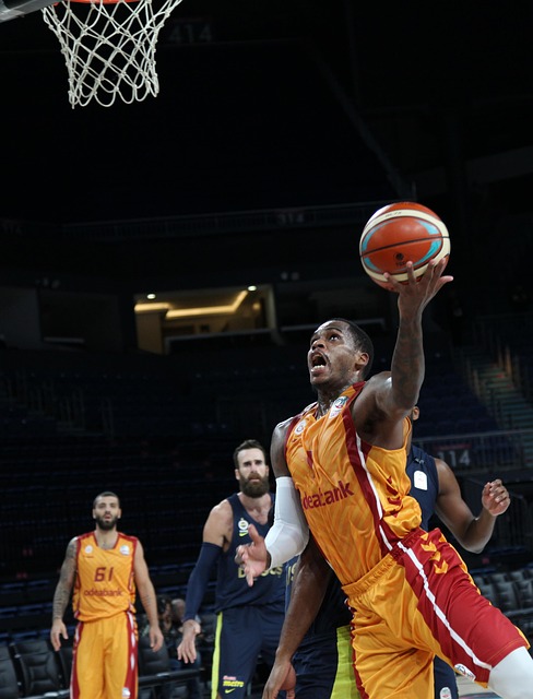 他们继续寻 他们继续寻