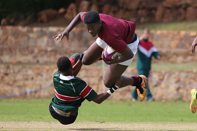 深厚的球迷 深厚的球迷