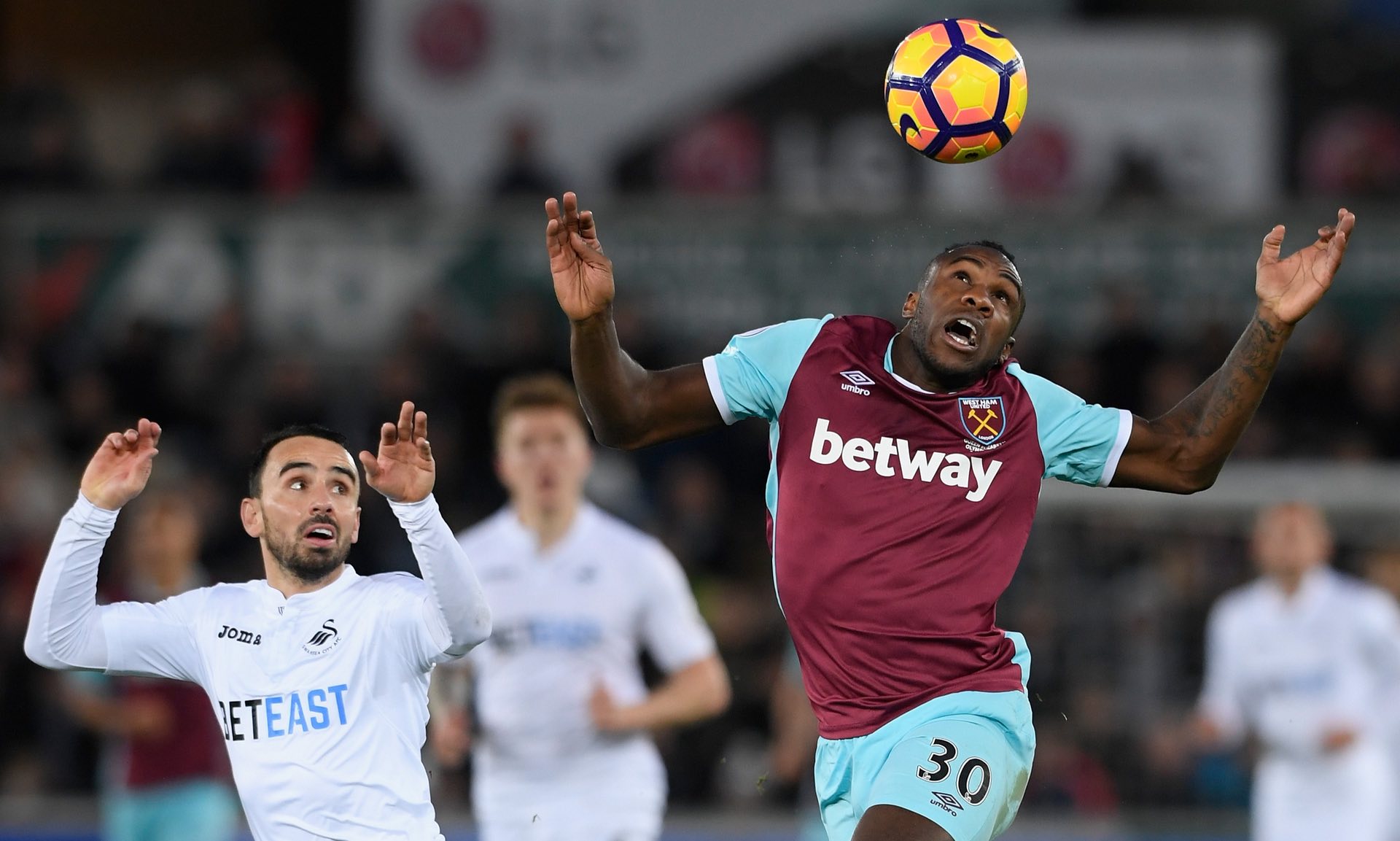 这篇文章将 这篇文章将