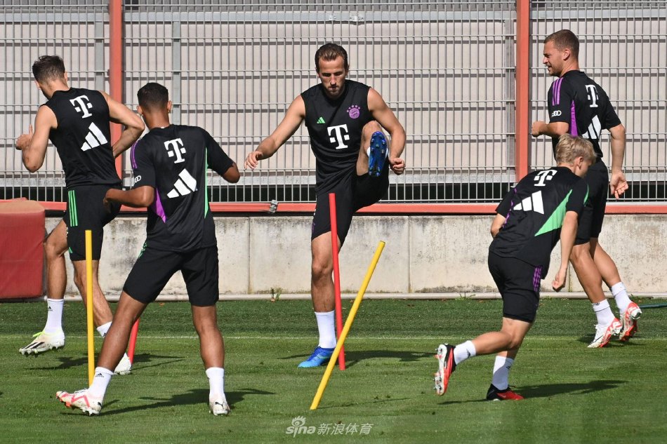 往往会将号 往往会将号